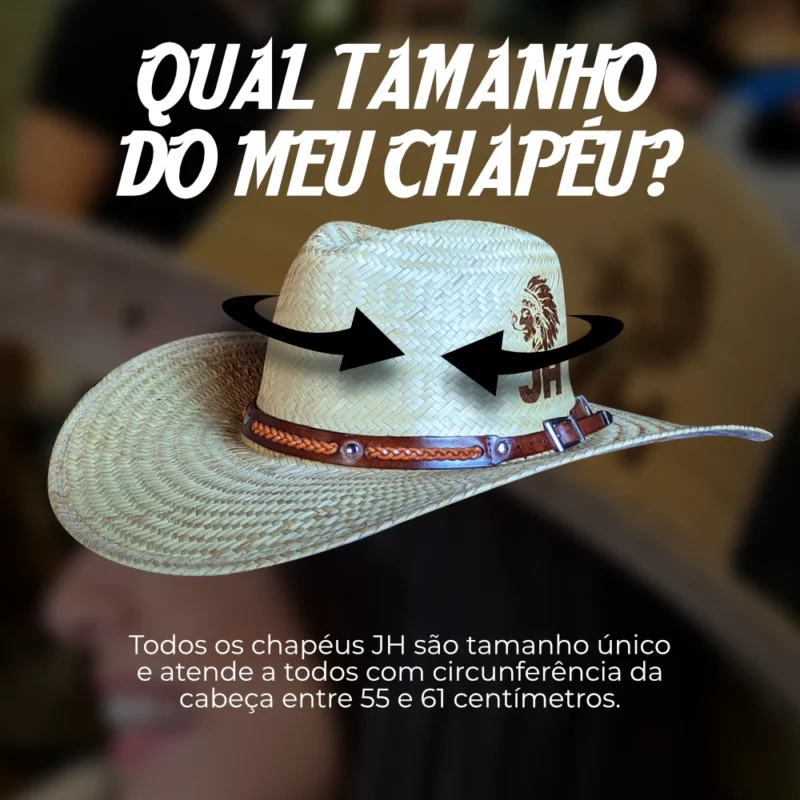 Chapéu JH Campeiro LX - Imagem 2