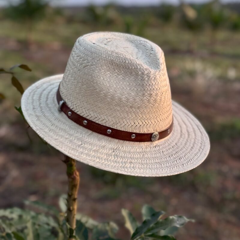 Chapéu JH Tropical - Imagem 3